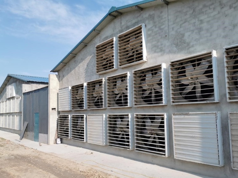 enprime-machin-kouto-1